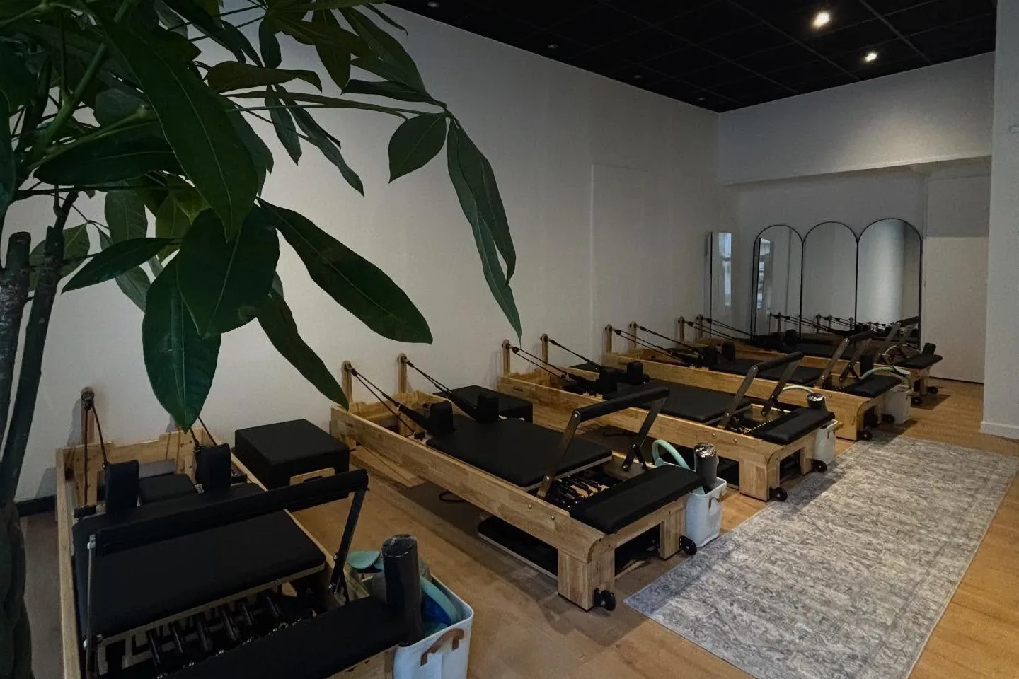 La salle de Pilates Reformer de Noon Club, cinq machines alignées