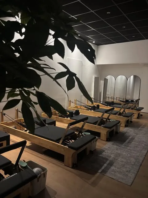 Les Reformers du studio vus derrière un grand ficus