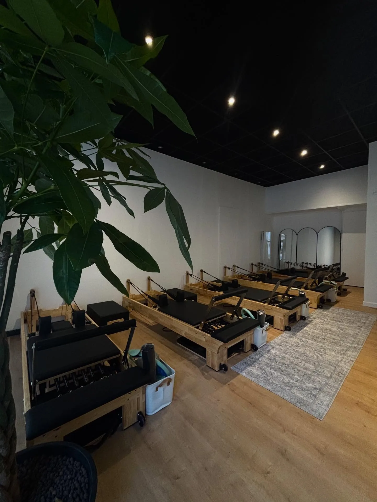 Alignement de machines Reformer en bois clair et sellerie noire